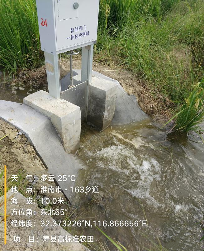 壽縣高標(biāo)準(zhǔn)農(nóng)田